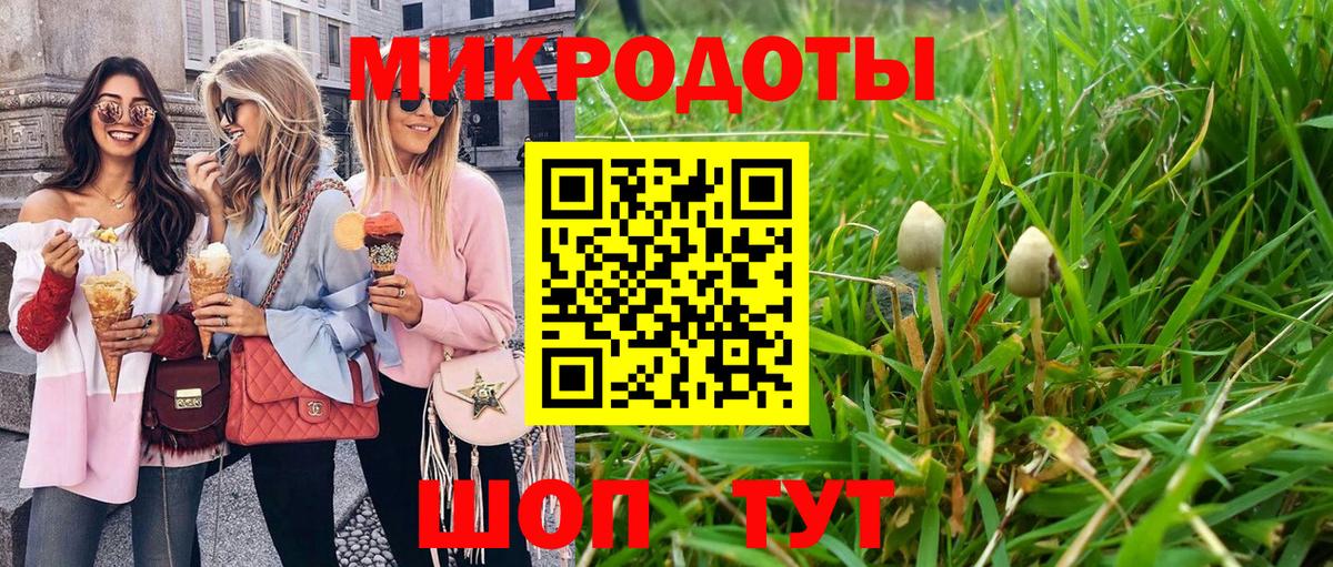 Галлюциногенные грибы мицелий Скопин